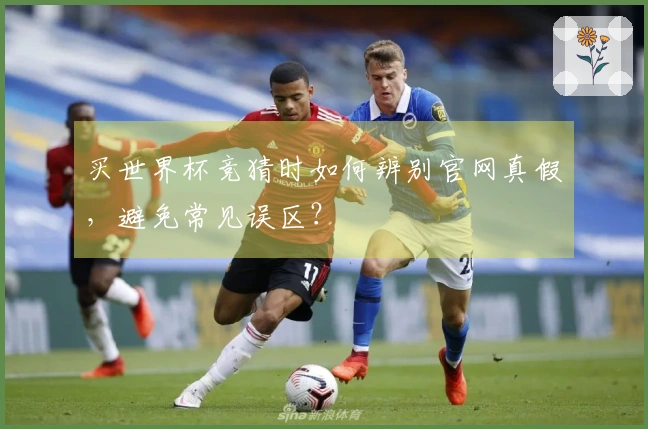 买世界杯竞猜时如何辨别官网真假，避免常见误区？