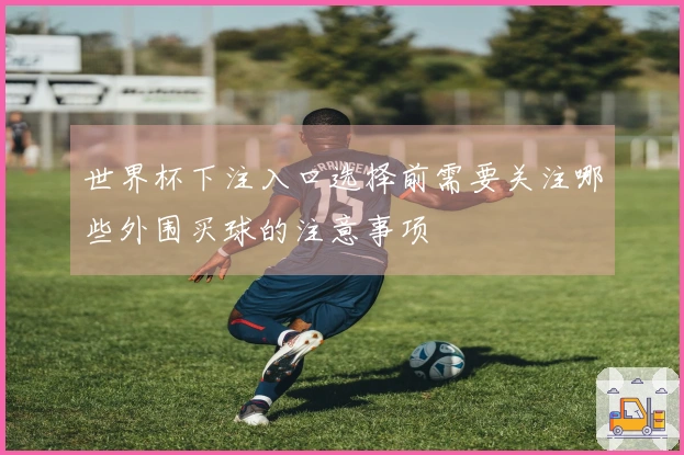 世界杯下注入口选择前需要关注哪些外围买球的注意事项